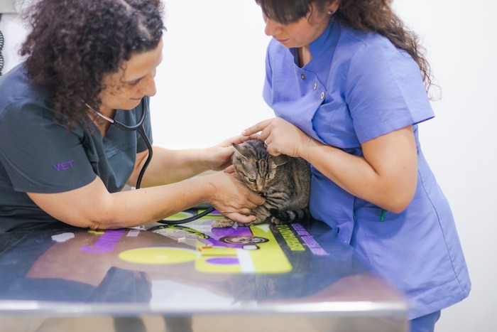 Manescalia Veterinaris, mascotas y veterinaria en Mollet DEL Vallés